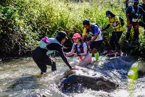 BIB: 
                            <button type="button" onclick="openModal(19334104)" class="btn btn-primary btn-sm float-right btn-popup" data-toggle="modal" data-target=".modal-high-quality">
                        <i class="fas fa-shopping-cart"></i> Add to Cart
                    </button>
                                            <button type="button" onclick="isThisMe(19334104, true)" class="btn btn-success btn-sm float-right btn-popup btn-isme hidden" data-toggle="tooltip" data-placement="bottom" title="นี่คือรูปของคุณใช่ไหม คลิกที่นี่เพื่อเอาเข้าอัลบั้ม">
                        <i class="fas fa-plus"></i> Add to album
                    </button>
                    <button type="button" onclick="isThisMe(19334104, false)" class="btn btn-warning btn-sm float-right btn-popup btn-isnotme hidden">
                        <i class="fas fa-ban"></i> Remove from album
                    </button>